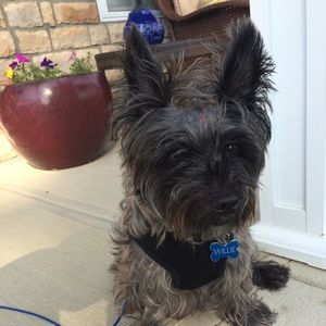 Meet your Posher, Joshua